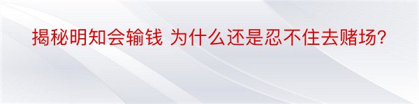 揭秘明知会输钱 为什么还是忍不住去赌场？