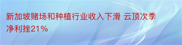 新加坡赌场和种植行业收入下滑 云顶次季净利挫21%