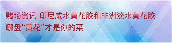 赌场资讯 印尼咸水黄花胶和非洲淡水黄花胶哪盘“黄花”才是你的菜