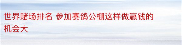 世界赌场排名 参加赛鸽公棚这样做赢钱的机会大