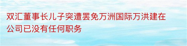 双汇董事长儿子突遭罢免万洲国际万洪建在公司已没有任何职务