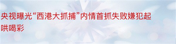 央视曝光“西港大抓捕”内情首抓失败嫌犯起哄喝彩