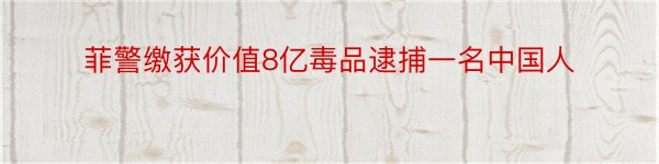 菲警缴获价值8亿毒品逮捕一名中国人