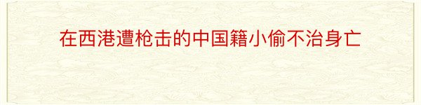 在西港遭枪击的中国籍小偷不治身亡