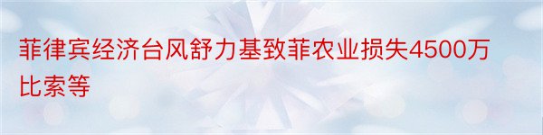 菲律宾经济台风舒力基致菲农业损失4500万比索等