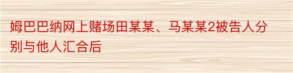 姆巴巴纳网上赌场田某某、马某某2被告人分别与他人汇合后