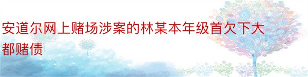 安道尔网上赌场涉案的林某本年级首欠下大都赌债