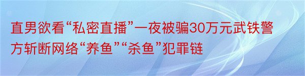 直男欲看“私密直播”一夜被骗30万元武铁警方斩断网络“养鱼”“杀鱼”犯罪链