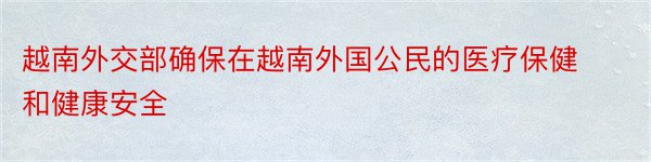 越南外交部确保在越南外国公民的医疗保健和健康安全