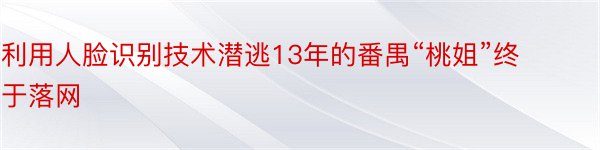 利用人脸识别技术潜逃13年的番禺“桃姐”终于落网