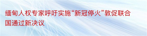 缅甸人权专家呼吁实施“新冠停火”敦促联合国通过新决议