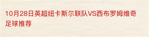 10月28日英超纽卡斯尔联队VS西布罗姆维奇足球推荐