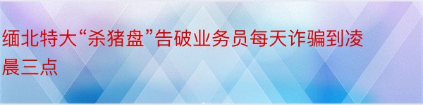 缅北特大“杀猪盘”告破业务员每天诈骗到凌晨三点